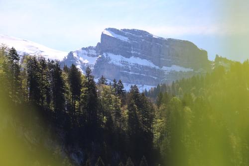 a mountain with trees and snow on top of it at B31 - Ferienwohnung in Bezau in Bezau