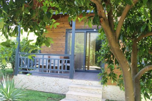 Κήπος έξω από το Çıralı Villa's