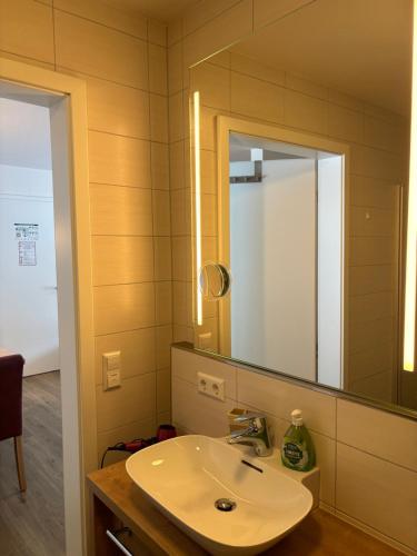 a bathroom with a sink and a mirror at Apartment 111 in Feldberg
