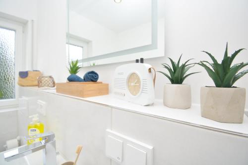 a white kitchen with plants and a clock on a shelf at RT02-FW Wohnung in Schwanstetten in Schwanstetten