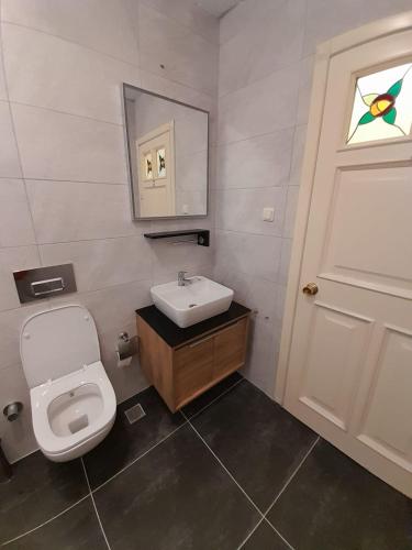 a bathroom with a toilet and a sink and a mirror at Villa Sophia Marmaris in Marmaris