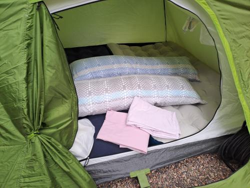 a green tent with a bed and pink sheets at Camping Valle del Andarax in Fondón