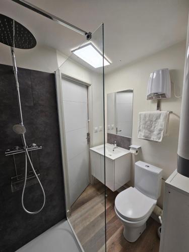 une salle de bain avec une douche, des toilettes et un lavabo dans l'établissement Au 3 rue Manhès, à Albi
