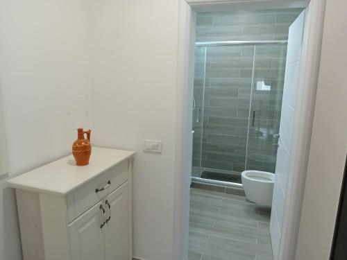 a white bathroom with a shower and a toilet at Apartment Kalin in Gevgelija