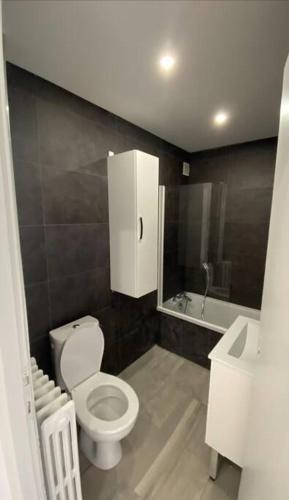 une petite salle de bain avec toilettes et lavabo dans l'établissement « Le scandinave » T2 wifi, terrasse et parking, à Thonon-les-Bains