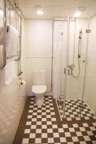 a bathroom with a toilet and a shower at Putkisalon Kartano Tallimestari in Rantasalmi