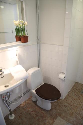 uma casa de banho com um WC e um lavatório em Putkisalon Kartano Hellahuoneisto em Rantasalmi