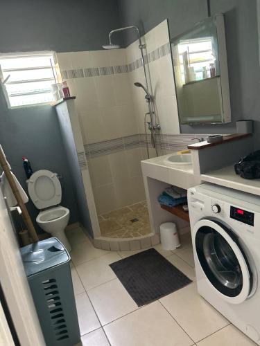 a bathroom with a shower and a washing machine at Maison tartanaise in La Trinité