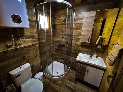 ein Bad mit einer Dusche, einem WC und einem Waschbecken in der Unterkunft Green Field Apartments in Virpazar