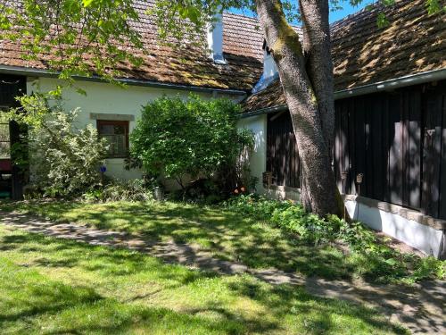 a house with a tree in the yard at Forsthartl 7 Landhausurlaub in Steinbach