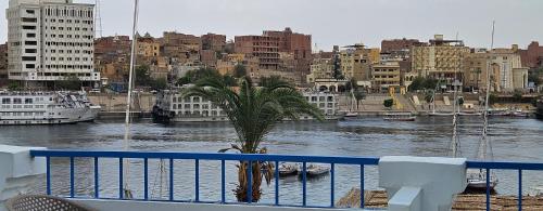 uitzicht op een stad met een rivier en gebouwen bij La Terrace in Aswan