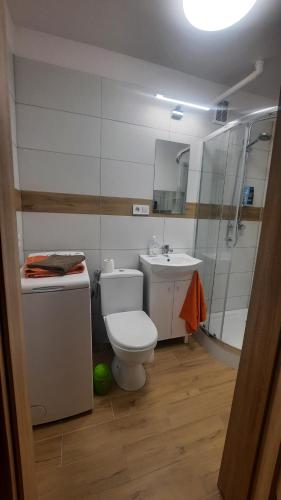 ein Bad mit einem WC und einem Waschbecken in der Unterkunft Miejscówka nad morzem Nice two room apartment near the sea in Danzig