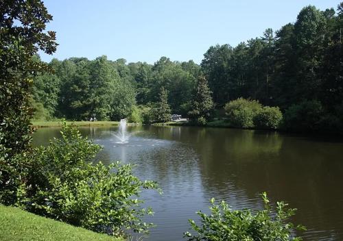 a pond with a fountain in the middle of it at Hemlock Hideaway in Ellijay