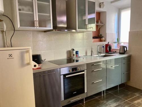 eine Küche mit Küchengeräten aus Edelstahl und einem Kühlschrank in der Unterkunft Charming 2-room flat near Paris in Nogent-sur-Marne