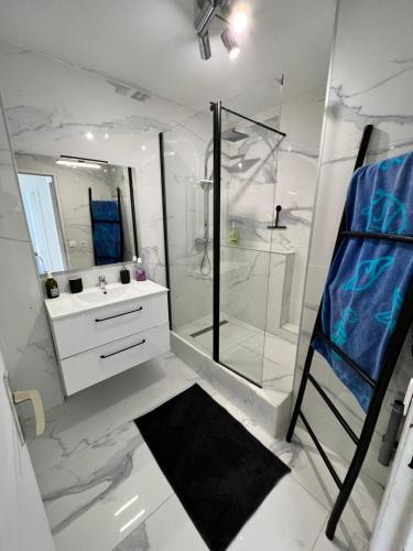 Koupelna v ubytování Grenoble ~ Ecole d’architecture ~ Grand-place