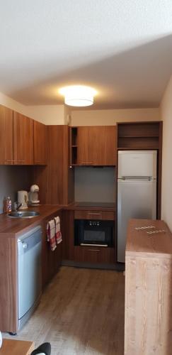 une cuisine avec des armoires en bois et un réfrigérateur blanc dans l'établissement Neige et confort, à Isola 2000