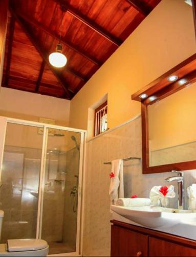a bathroom with a shower and a sink and a mirror at Lucky Prince Villa in Aluthgama