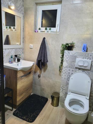 La salle de bains est pourvue de toilettes et d'un lavabo. dans l'établissement Dream Lake, à Palić