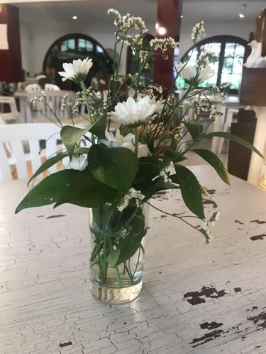 a vase filled with white flowers on a table at Hostal Mi Campaña in Denia
