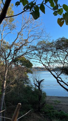 a view of a body of water through some trees at Playa Carao in Paquera