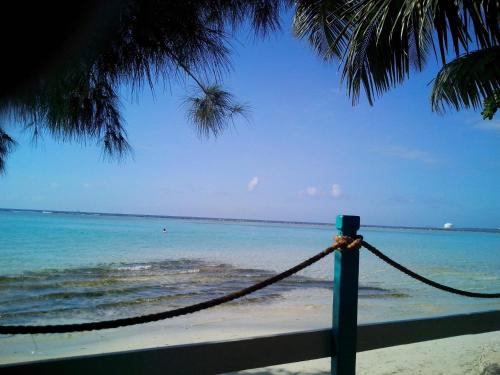 Gallery image of bpd in Boca Chica