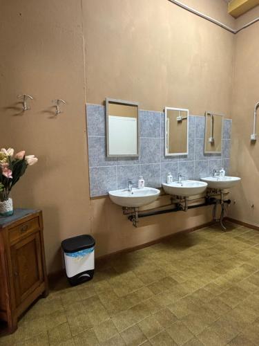 ein Bad mit 3 Waschbecken und 2 Spiegeln in der Unterkunft Ostello Bellavita in Castelnuovo di Garfagnana