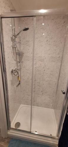 a shower with a glass door in a bathroom at The Hollies in Briston