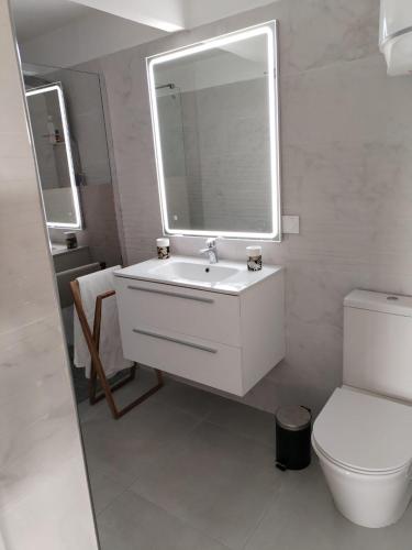 a bathroom with a sink and a toilet and a mirror at Résidence La Palmeraie in Le Diamant