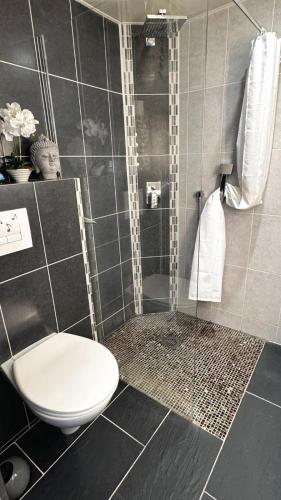 une salle de bain avec toilettes et douche dans l'établissement Village naturiste, Port-Ambonne, appartement 42 m2, Le luxueux., au Cap d'Agde