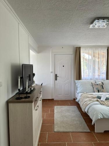 a bedroom with a bed and a tv on a counter at Thermal Garden Vendégház in Tiszakécske