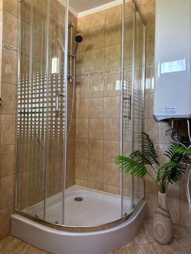a shower with a glass enclosure in a bathroom at Thermal Garden Vendégház in Tiszakécske