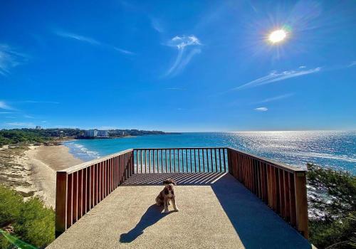 a dog sitting on a boardwalk next to the beach at Clauhomes Reus Centro in Reus