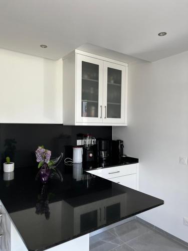 Villa near CDG Paris aeroport