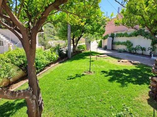 a green yard with a tree and a building at Nick's Apartments Evia in Achladi