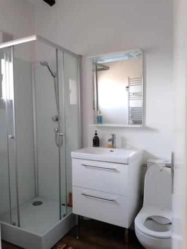 une salle de bain avec une douche, un lavabo et des toilettes dans l'établissement Appartement T3 dans village Naturiste en bord de Mer, à Leucate