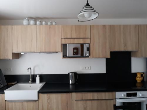 La cuisine est équipée de placards en bois, d'un évier et d'un four micro-ondes. dans l'établissement Chez Julou et Rosalie à Puilaurens, à Puilaurens