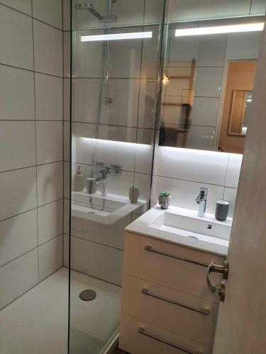 un bagno con doccia, lavandino e specchio di Cyrnos a Cannes