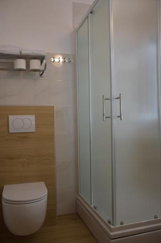 W łazience znajduje się toaleta i przeszklony prysznic. w obiekcie Apartments Popo w mieście Starigrad-Paklenica