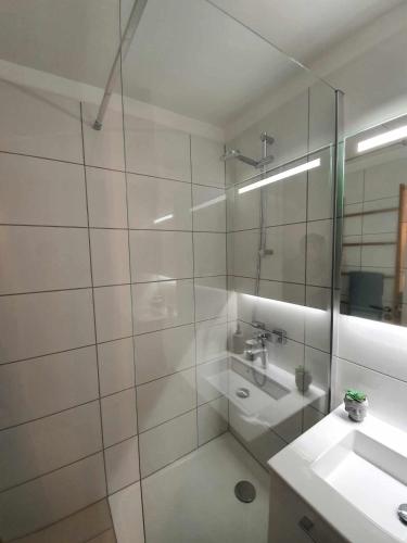une salle de bain avec une douche en verre et un lavabo dans l'établissement Cyrnos, à Cannes