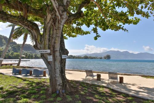 a tree sitting next to a beach with chairs at Sublime Tahiti Beach Retreat in Mataiea