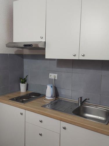Kuchyň nebo kuchyňský kout v ubytování Royal Apartments