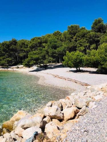 Luxury Apartment Niko