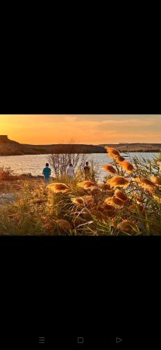 two people are standing on the shore of a body of water at Amon guest house in Abu Simbel