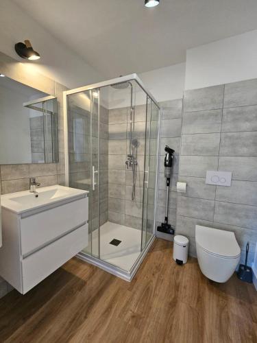 une salle de bain avec une douche, un lavabo et des toilettes dans l'établissement Très bel appartement T3 dans résidence hotellière 
