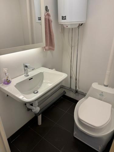 uma casa de banho com um lavatório branco e um WC. em Mysig stuga i Nävesta em Örebro