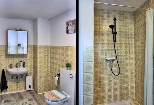 a bathroom with a shower and a toilet and a sink at Haus am Burgring in Mürlenbach