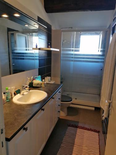 une salle de bain avec un lavabo, une douche et des toilettes dans l'établissement Le super duplex des halles, à Sète