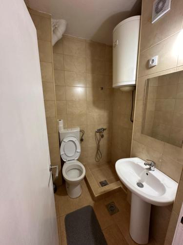 Baño pequeño con aseo y lavamanos en Alex Apartments, en Podgorica