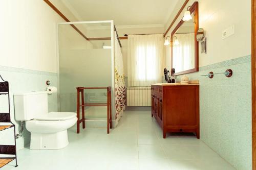 La salle de bains est pourvue de toilettes, d'un lavabo et d'un miroir. dans l'établissement EL SECRETO DE LOS PERALES, à Velada