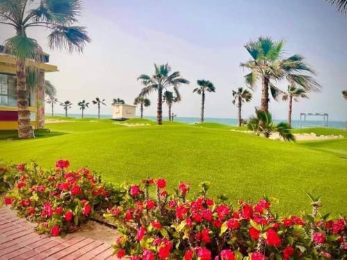 a garden with red flowers and palm trees and the ocean at Porto said in Port Said